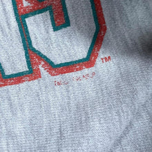 Load image into Gallery viewer, Vintage 90's Champion Reverse Weave NFL MIAMI DOLPHINS Graphic Distressed Sweatshirt