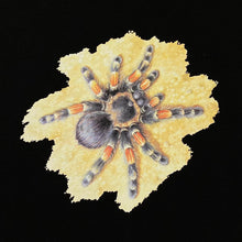 Load image into Gallery viewer, Spider Tarantula Insect Arachnid Nature Graphic Black T-Shirt