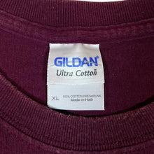 Load image into Gallery viewer, FAYETTEVILLE LIONS "State Champions" College Baseball Graphic Faded T-Shirt