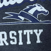 Load image into Gallery viewer, Champion LONGWOOD UNIVERSITY College Spellout Graphic Grey Pullover Hoodie
