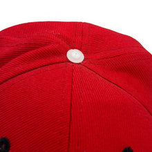 Load image into Gallery viewer, FAMOUS STARS & STRAPS Embroidered Skater Logo Spellout Snapback Baseball Cap