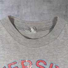 Load image into Gallery viewer, Vintage University Of Amsterdam "Holland" Netherlands Tourist Graphic Grey Cotton T-Shirt