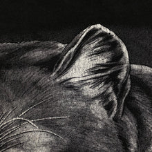 Load image into Gallery viewer, SPRINGMILL Mountain Lion Animal Graphic Single Stitch T-Shirt