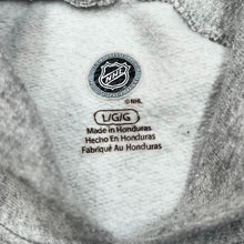 Load image into Gallery viewer, NHL DETROIT RED WINGS Ice Hockey Logo Spellout Graphic Pullover Hoodie
