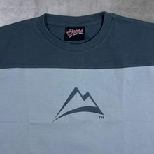 Load image into Gallery viewer, Early 00&#39;s Coors Classic Beer Logo Grey Colour Block Short Sleeve T-Shirt

