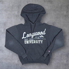 Load image into Gallery viewer, Champion Longwood University College Spellout Graphic Grey Pullover Hoodie
