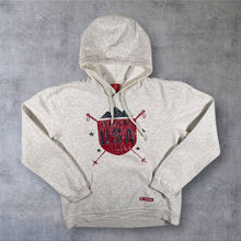 Load image into Gallery viewer, United States Olympics Team “Team USA” Spellout Graphic Grey Pullover Hoodie
