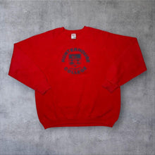 Load image into Gallery viewer, Vintage 90s Jerzees 762 Hunterhouse College Sweatshirt Red Large
