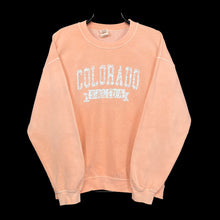 Load image into Gallery viewer, COLORADO “Salida” Souvenir Spellout Graphic Crewneck Sweatshirt
