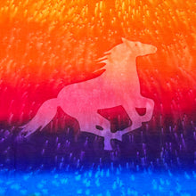 Load image into Gallery viewer, Early 00’s B&amp;C Horse Silhouette Graphic Rainbow Multi Colour Tie Dye T-Shirt
